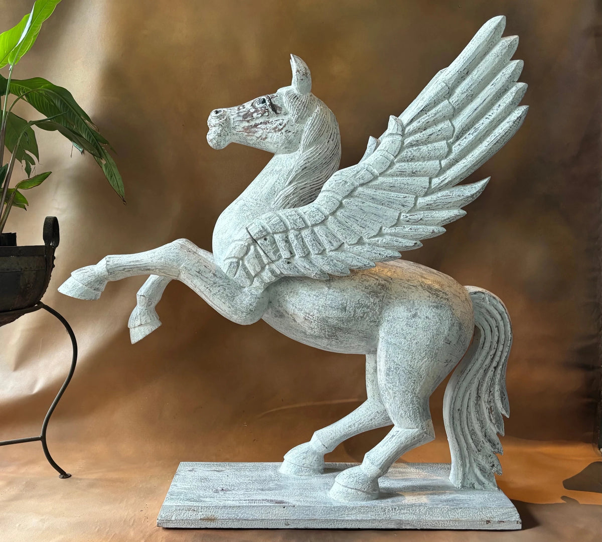 Ashva Pegasus - DOBRI ARTS AU