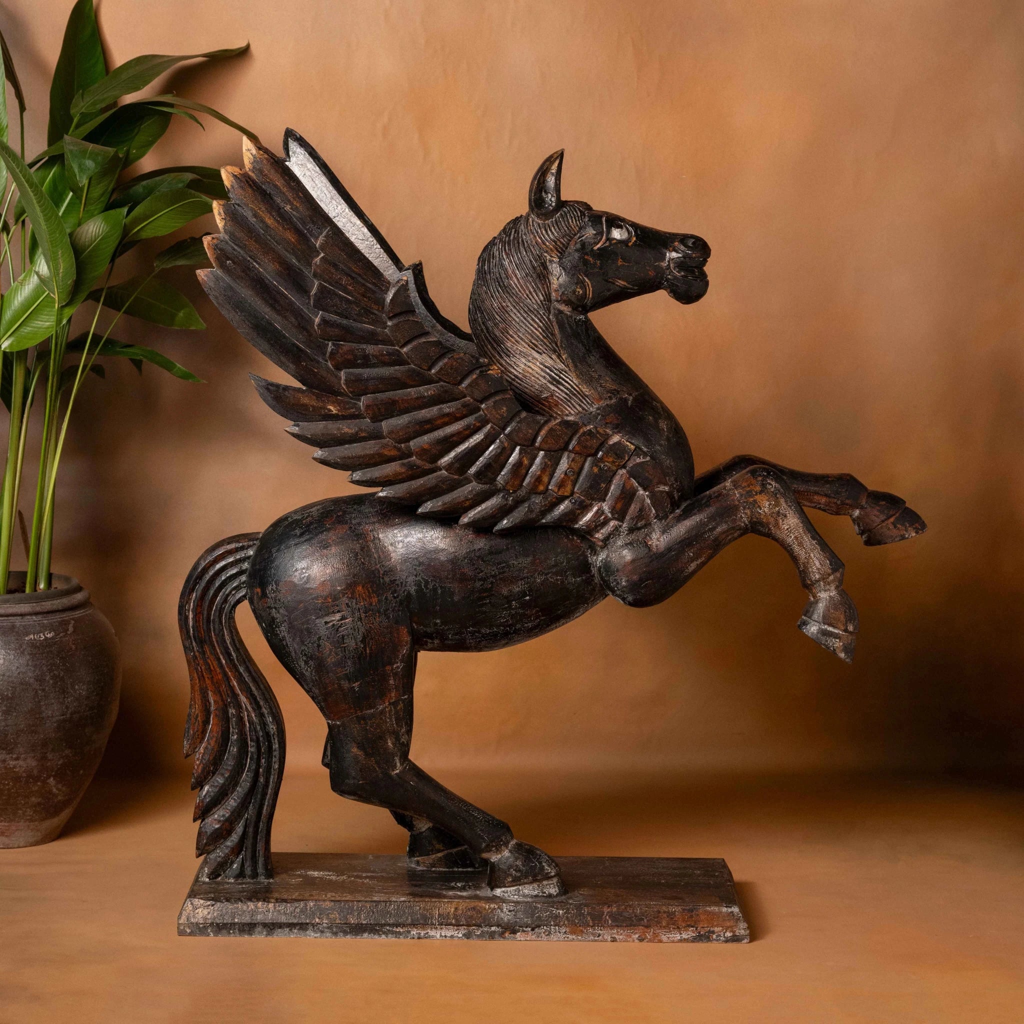 Ashva Pegasus - DOBRI ARTS AU
