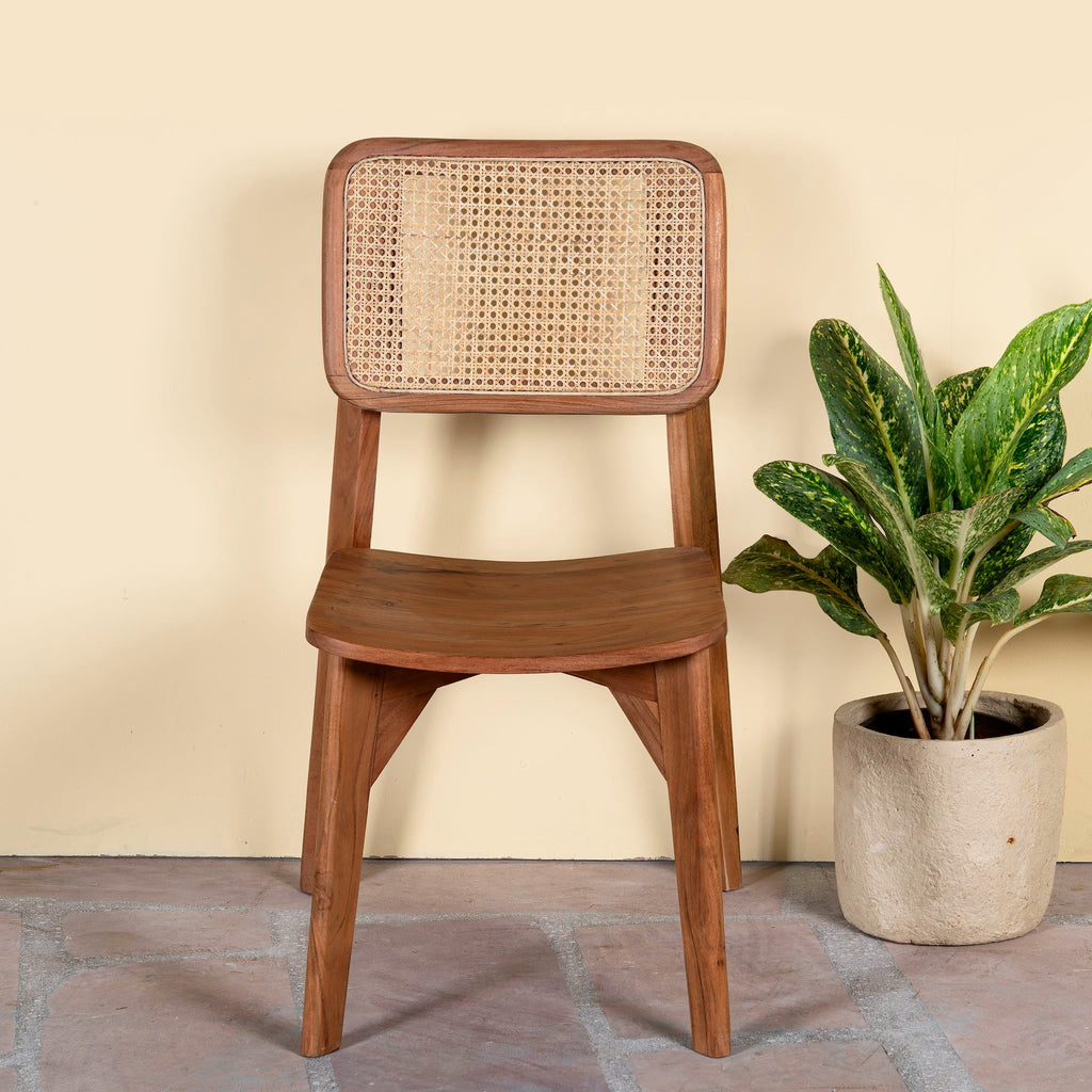 Mira Cane Dining Chair - DOBRI ARTS AU