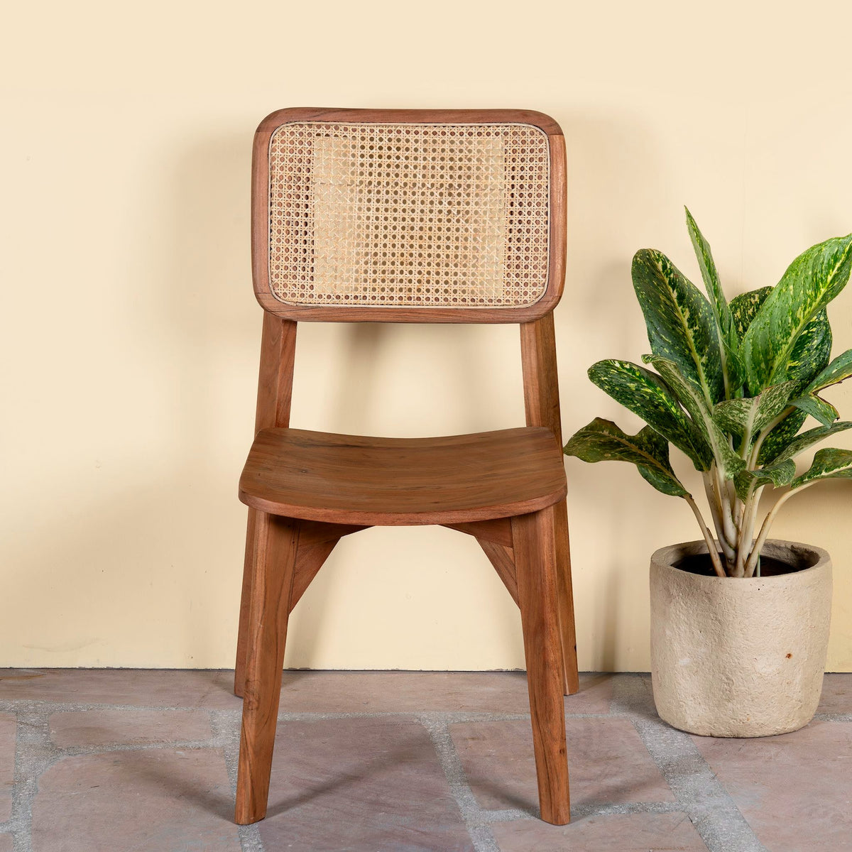 Mira Cane Dining Chair - DOBRI ARTS AU
