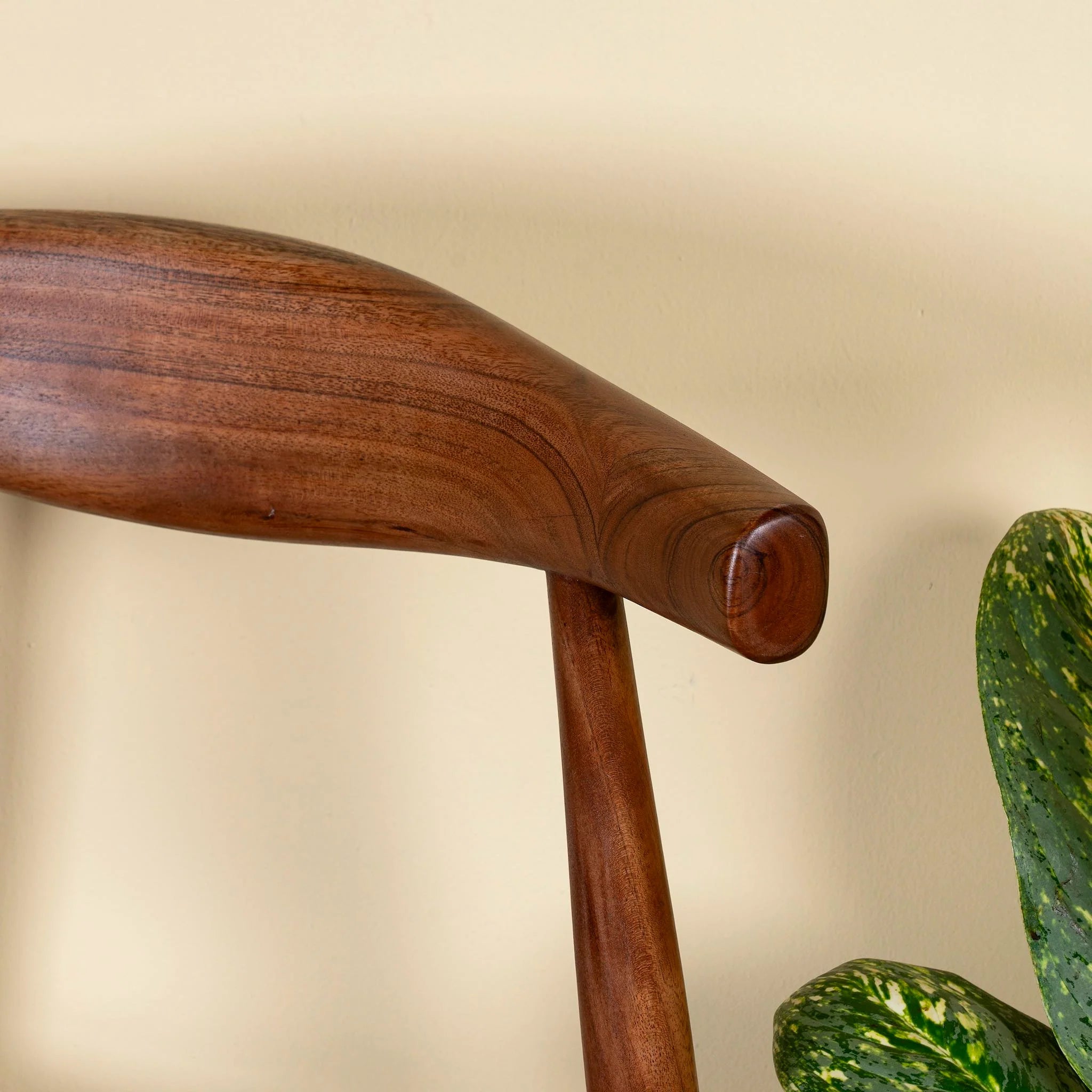 Nero Sculpted Dining Chair - DOBRI ARTS AU