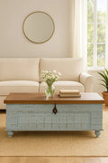 Pradarshan Antique-Style Distressed Blue Mango Wood Storage Chest - DOBRI ARTS AU